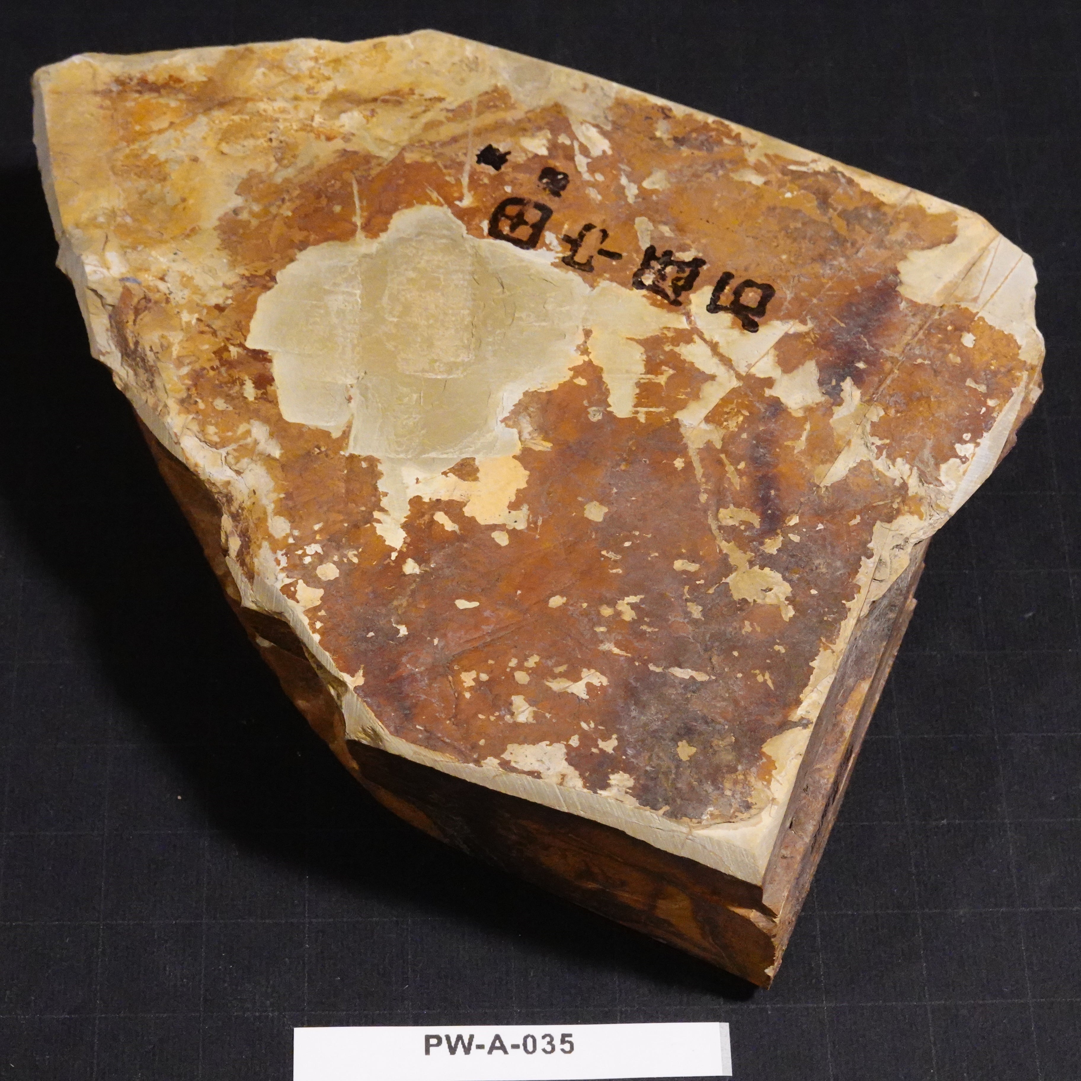 Nakayama - Awasedo - Saikōkyū (Highest Grade) - 862g
