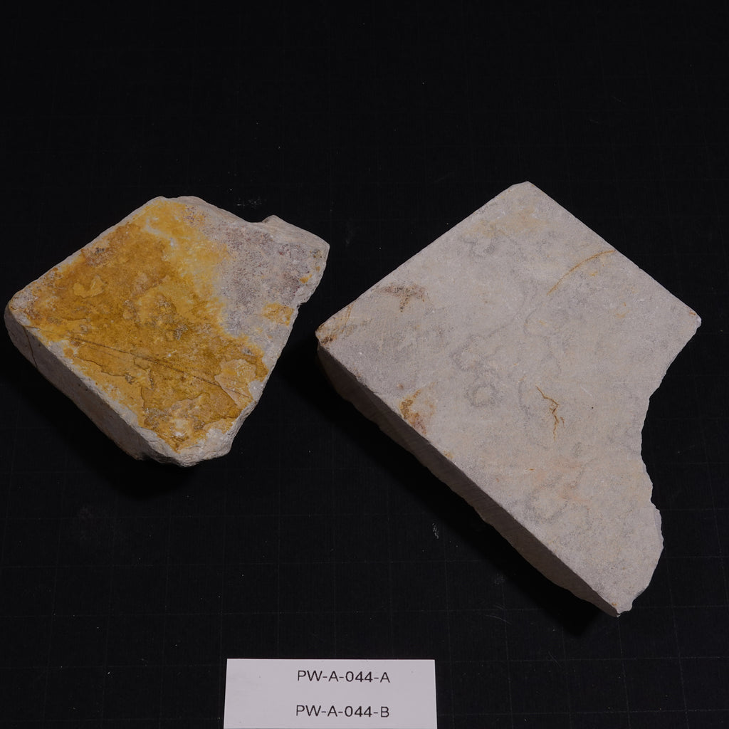 Ushiyama - Unconfirmed - 154g, 179g