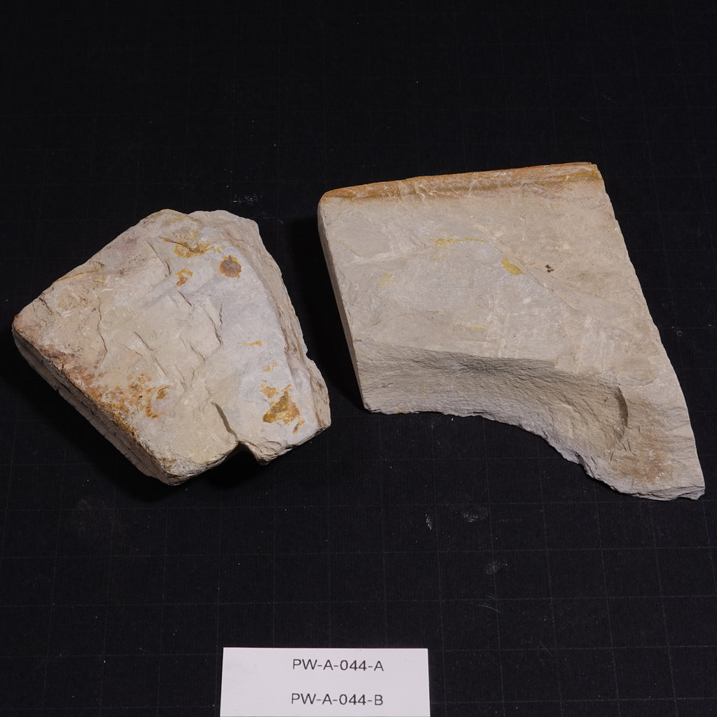 Ushiyama - Unconfirmed - 154g, 179g