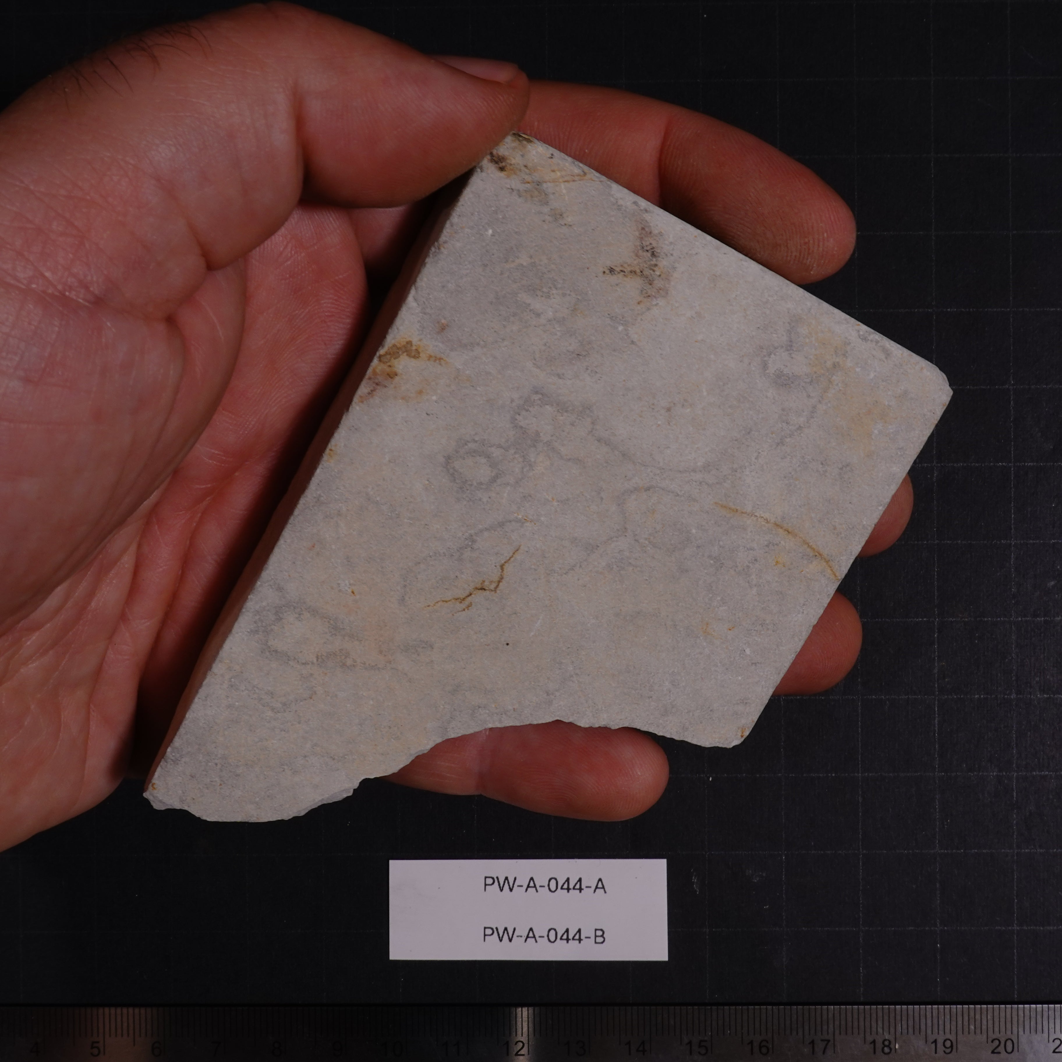 Ushiyama - Unconfirmed - 154g, 179g