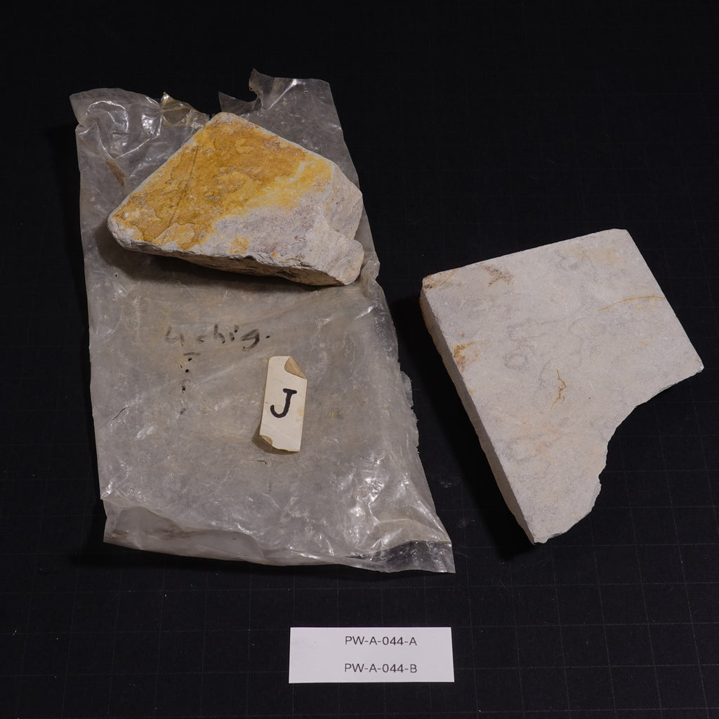 Ushiyama - Unconfirmed - 154g, 179g