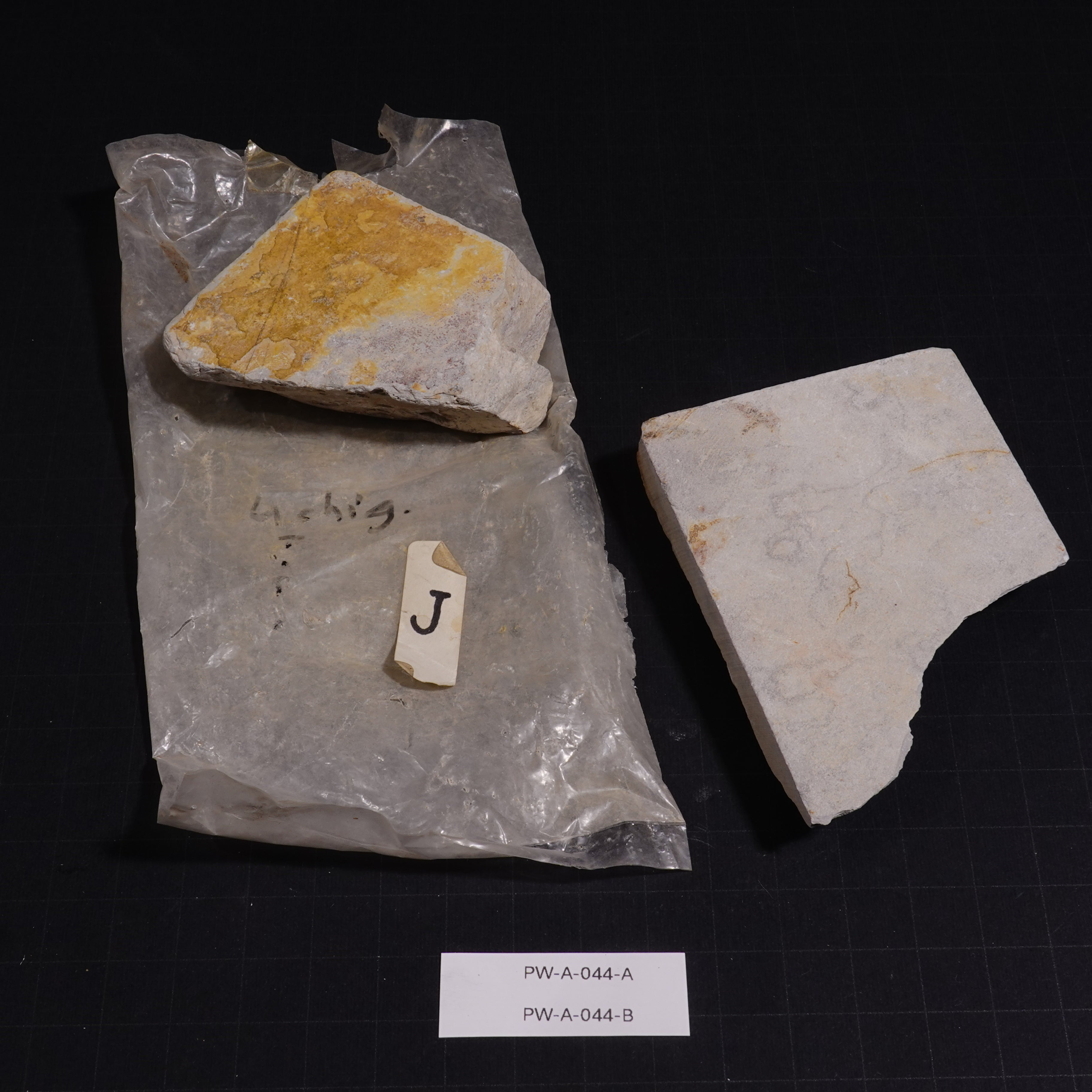 Ushiyama - Unconfirmed - 154g, 179g