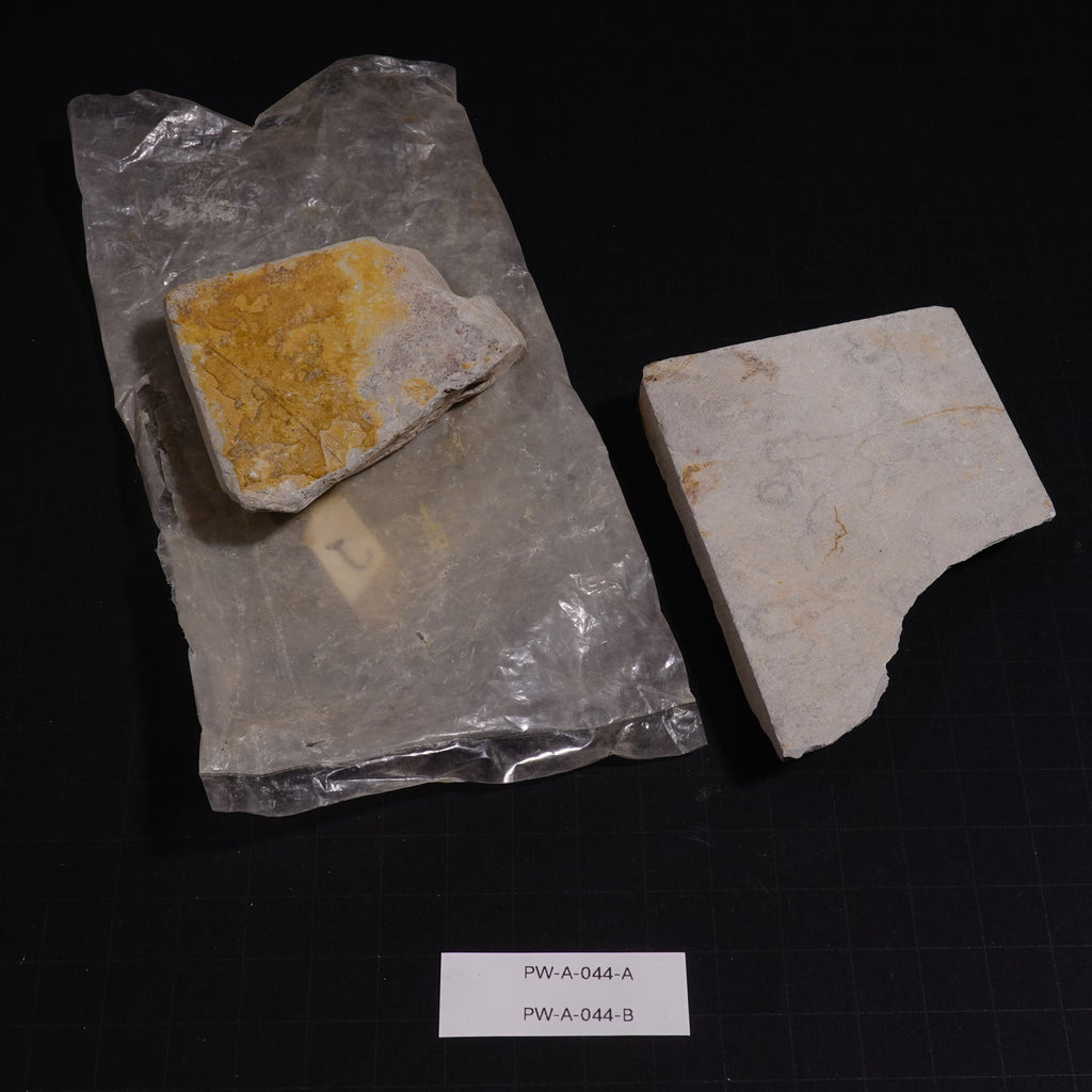 Ushiyama - Unconfirmed - 154g, 179g