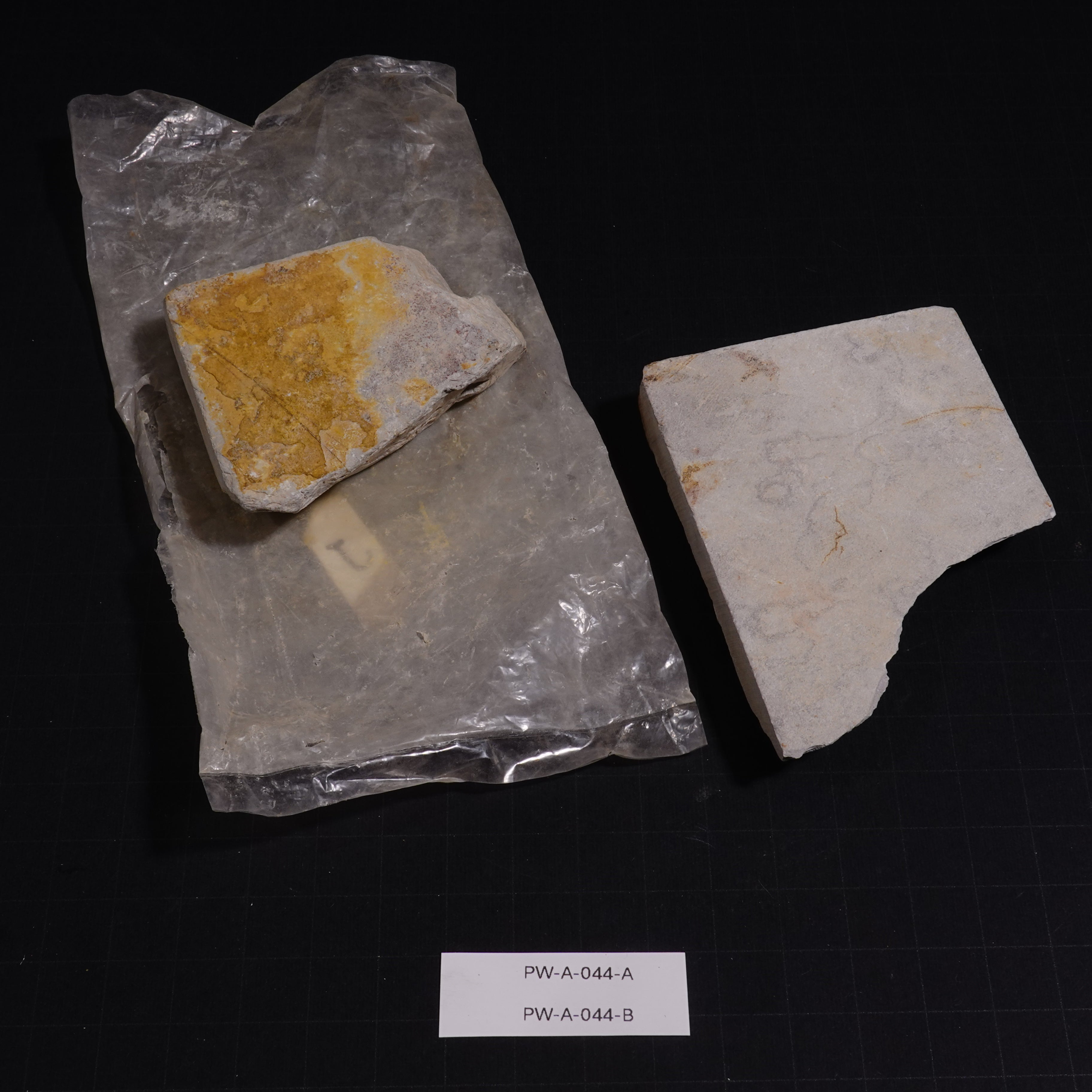 Ushiyama - Unconfirmed - 154g, 179g